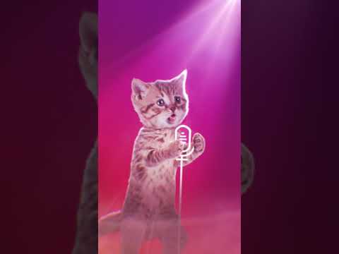 Instagram Voice Messages Demo - TechCrunch