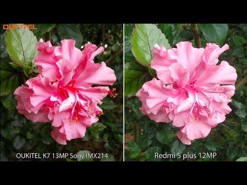OUKITEL K7 camera challenges against Xiaomi Redmi 5 Plus