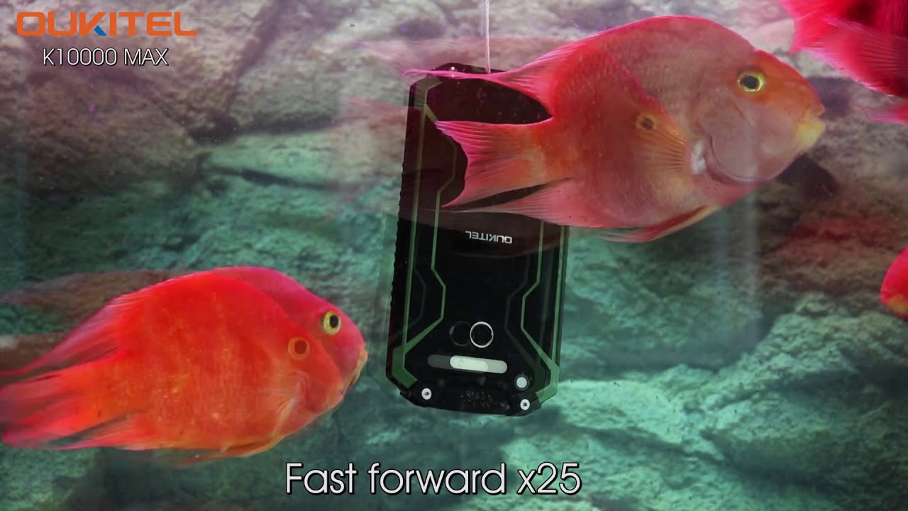 OUKITEL K10000 MAX  IP68 grade waterproof and dust-proof