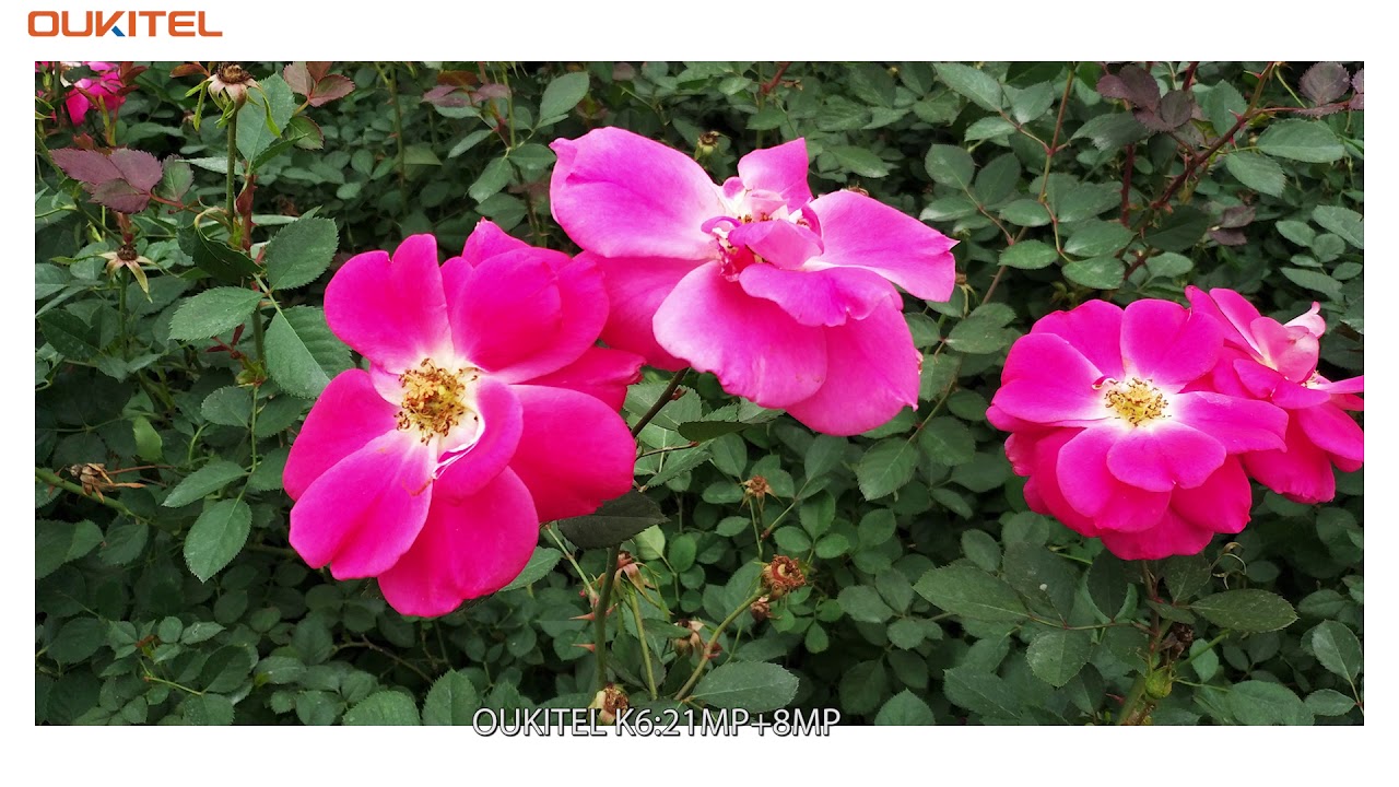 OUKITEL K6 camera test