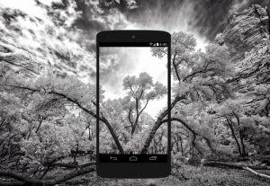 13 fondos de pantalla gratis en blanco y negro
