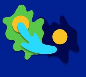 fondos de pantalla de Google Pixel