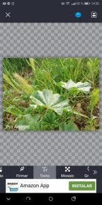 añadir marcas de agua en android