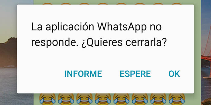 WhatsApp no responde
