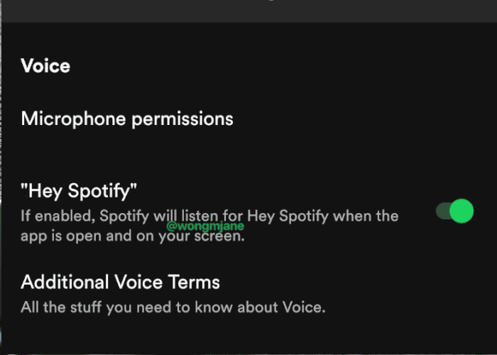 Spotify añadirá controles por voz a su aplicación, como si fuera Google Assistant
