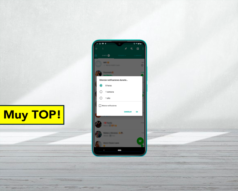 Así puedes silenciar un grupo de WhatsApp para siempre: nada de una semana o un año