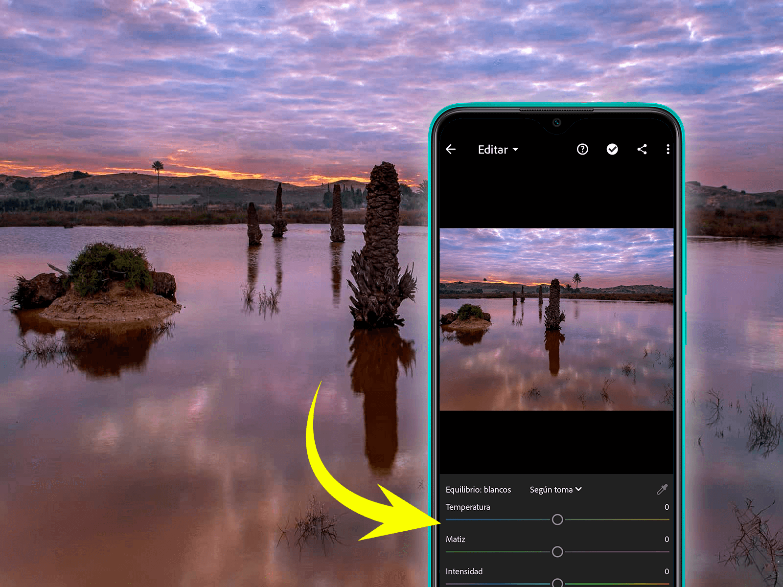 Aplicativo de fotos mais usados: 5 opções para editar imagem no celular