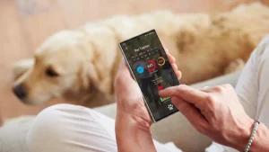 ¿Tu perro o gato están bien? Samsung estrenará una función para revisar su salud en los móviles Galaxy